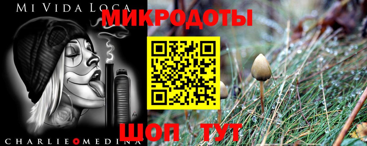 Галлюциногенные грибы Cubensis  Псилоцибиновые грибы мухоморы  Вход с VPN  Гусев 